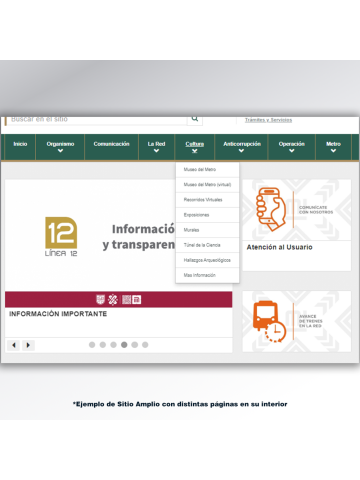 Sitio Web (Amplio) Institucional o de negocio