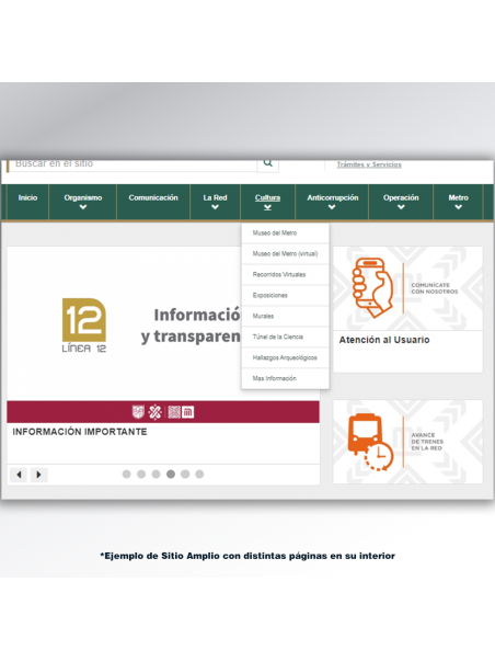 Sitio Web (Amplio) Institucional o de negocio