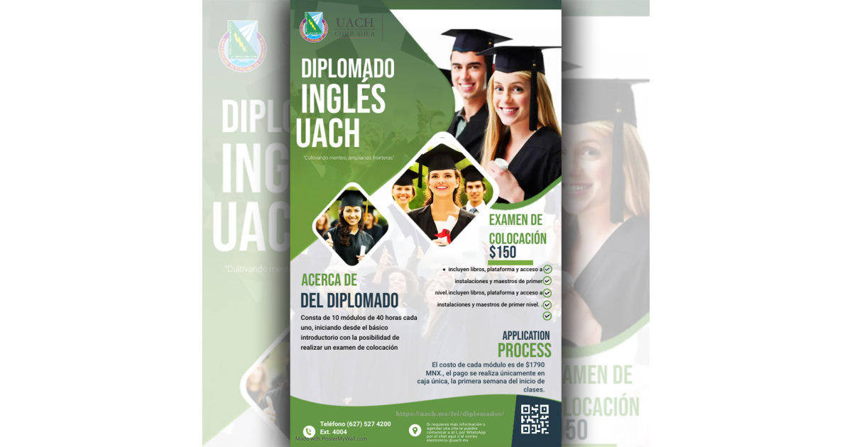 Pack 10 Audio Vídeo Flyer