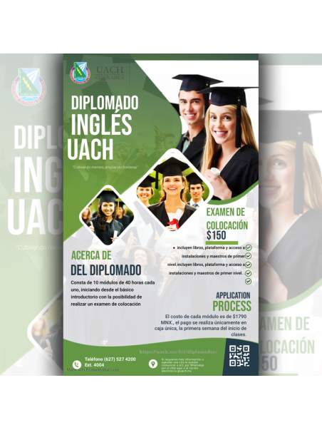 Pack 10 Audio Vídeo Flyer