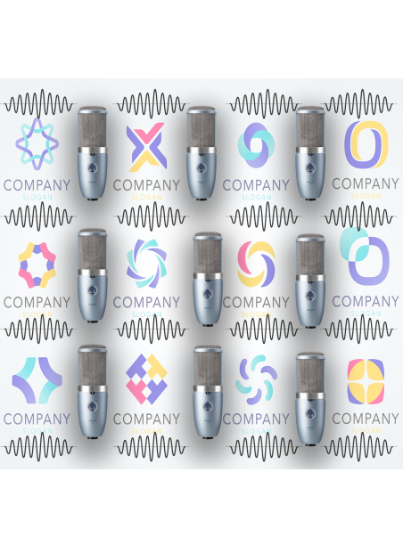 24 Pack Audio Negocios -Grabacion de Voz